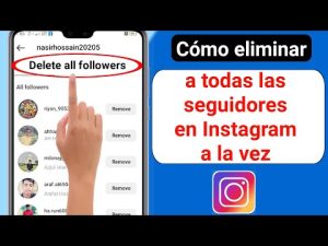 ¿Cómo puedo eliminar seguidores en Instagram?