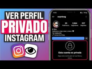 ¿Cómo puedo ver el contenido que he ocultado en Instagram?