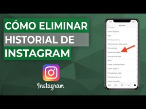 ¿Cómo puedo eliminar mi historial de búsqueda en Instagram?