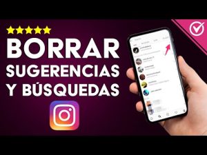 ¿Cómo puedo eliminar mi historial de búsqueda de GIF en Instagram?